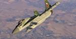 P3D/FSX Iris Mig29 Fulcrum multi livery package